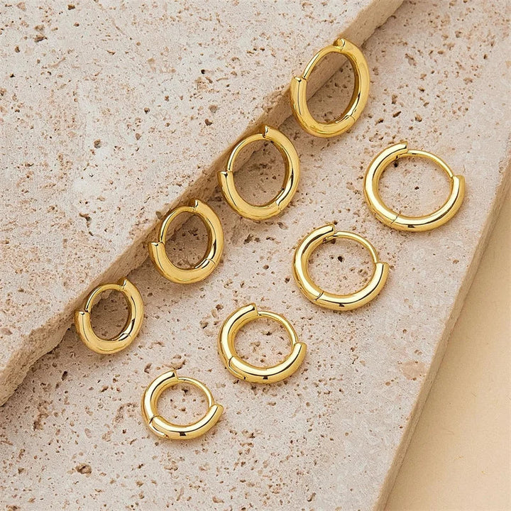 Small Hoop Earrings Durable Stainless Steel, Classic Design